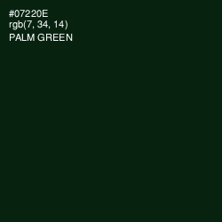 #07220E - Palm Green Color Image